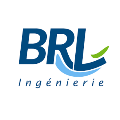 BRLi