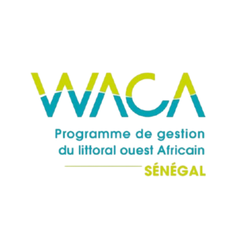 13 WACA