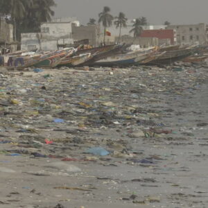 senegal_focus
